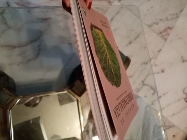 Manual de Fibromialgia, Vicente Estupá