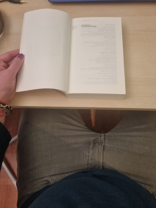 Libro los celtas y la civilización céltica