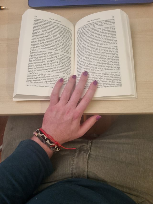 Libro los celtas y la civilización céltica