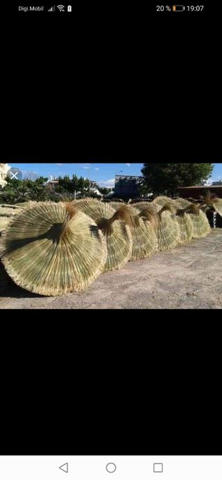 se hacen sombrillas de brezo.esparto y carrix