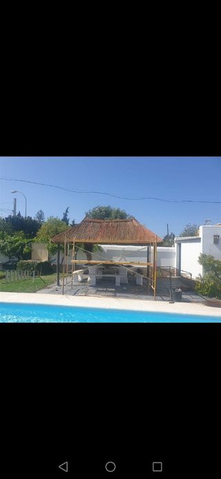 se hacen sombrillas de brezo.esparto y carrix