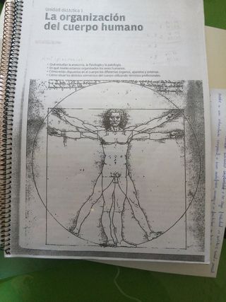 Anatomía 1 parafarmacia
