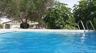 Casa de campo a 12 km Torre Sevilla