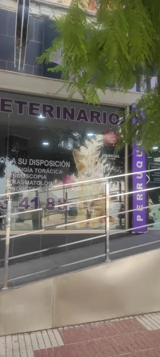 Limpieza profesional de cristales