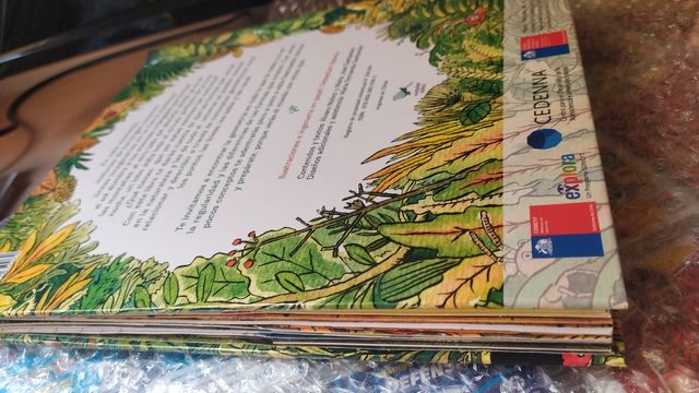 Mientras un lobo le canta a la luna