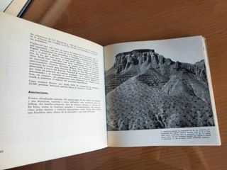 ✅ Granada. España en Paz 🏔️🔵