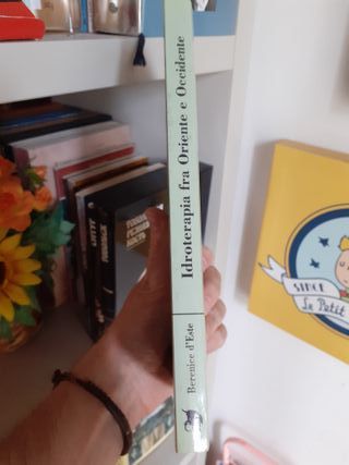 Idroterapia tra Oriente e Occidente di B. d'Este