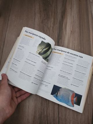 Guía para el comprador peces agua marina arrecife