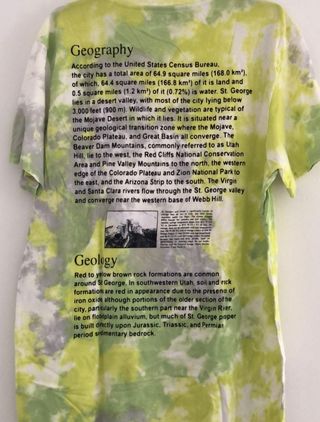 Camiseta Bershka