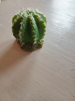 Cactus decorativo acuario