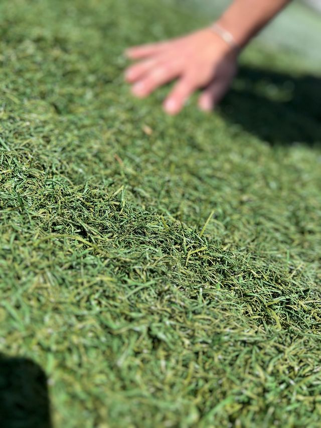 Césped artificial reciclado