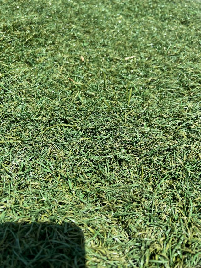 Césped artificial reciclado