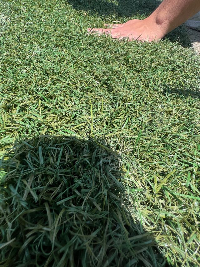 Césped artificial reciclado