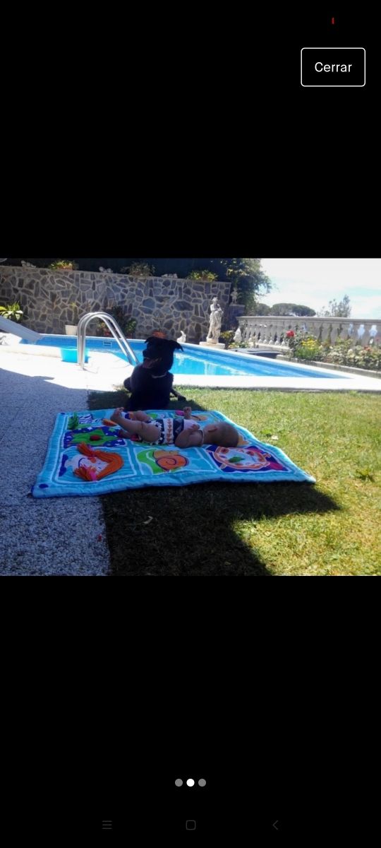 manta actividades bebe