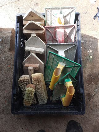 Ermiennas costruciona