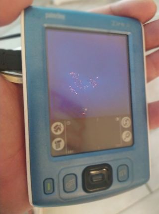 PALMARE - ZIRE 31 PALMONE