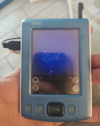 PALMARE - ZIRE 31 PALMONE