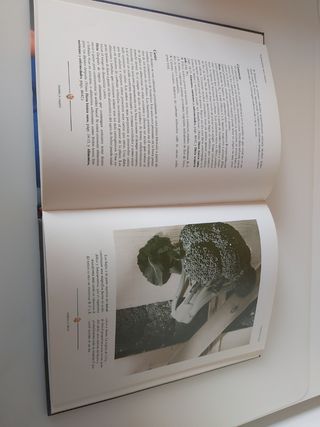 Dieta Sana - Penny Stanway