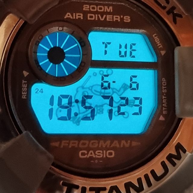 Casio G-shock Frogman DW-8200MS gris ahumado