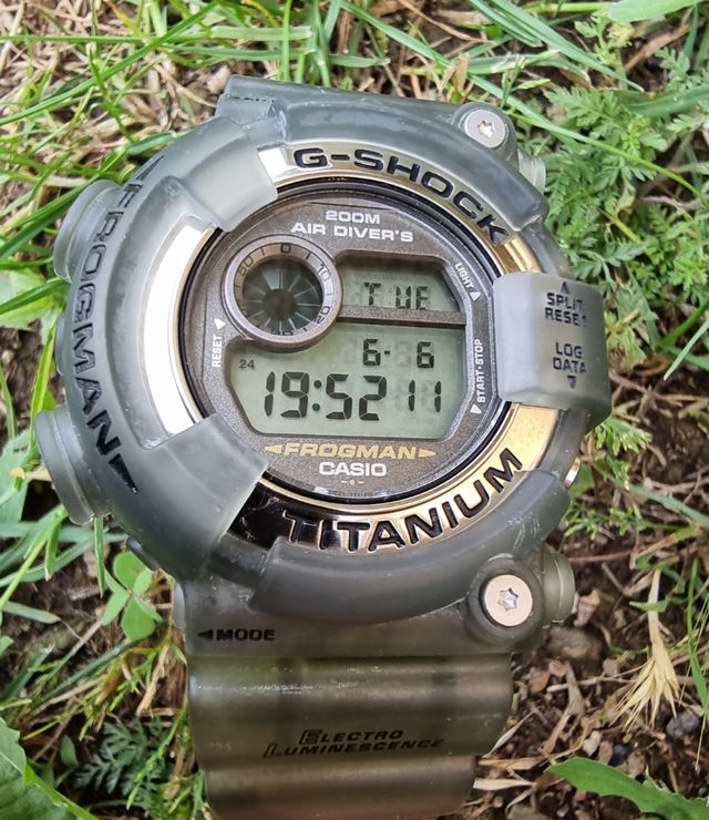 Casio G-shock Frogman DW-8200MS gris ahumado