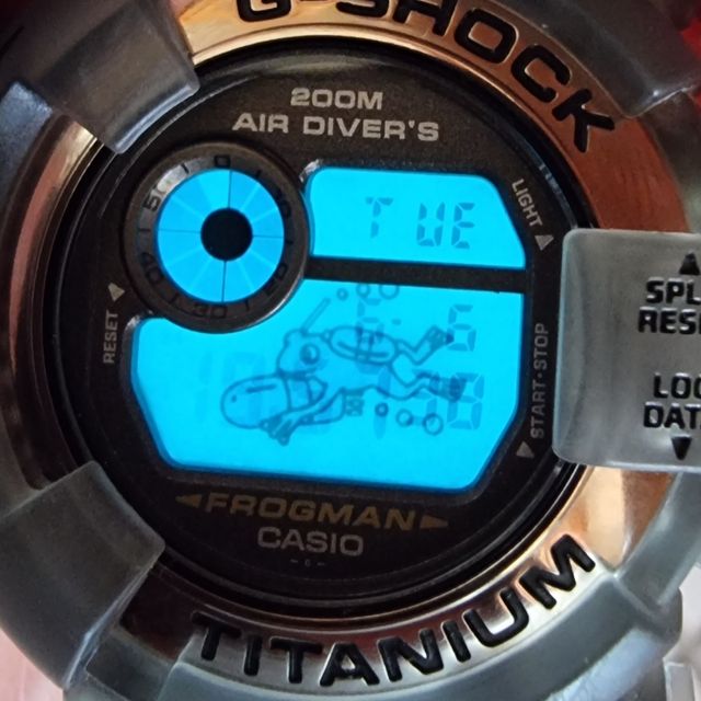 Casio G-shock Frogman DW-8200MS gris ahumado