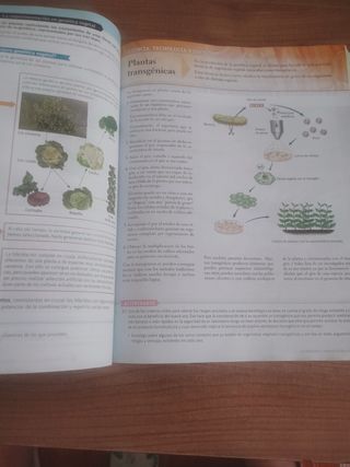 BIOLOGÍA Y GEOLOGÍA 1° BACHILLERATO
