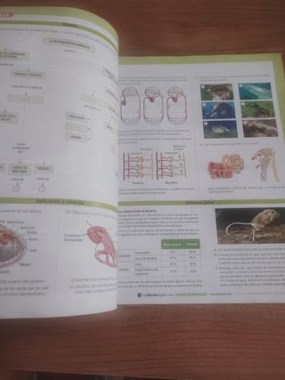 BIOLOGÍA Y GEOLOGÍA 1° BACHILLERATO