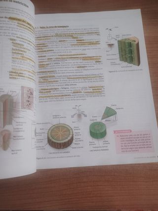 BIOLOGÍA Y GEOLOGÍA 1° BACHILLERATO