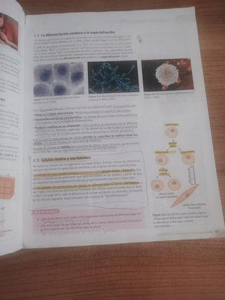 BIOLOGÍA Y GEOLOGÍA 1° BACHILLERATO