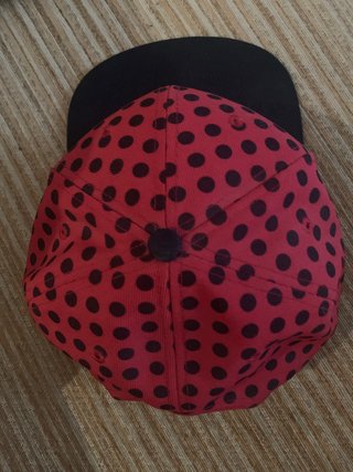 Gorra Nike SB