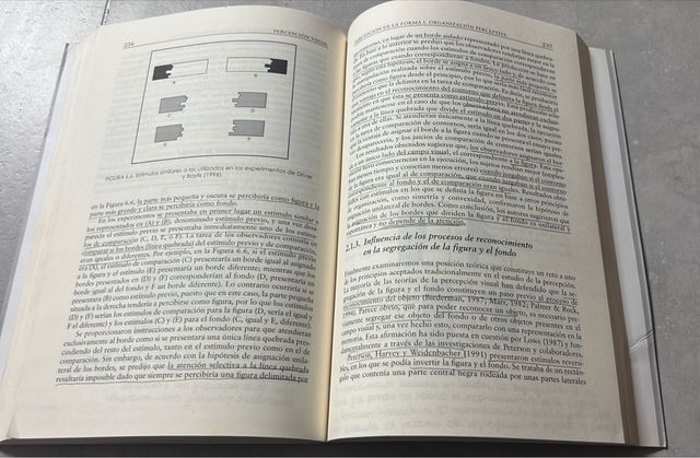 Percepción Visual. Uned 