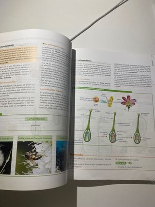 Libro Biología y Geología Anaya