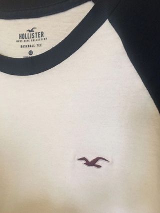 Camiseta Hollister