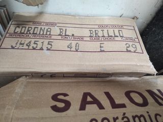 Azulejo Saloni blanco brillo 25x40cm