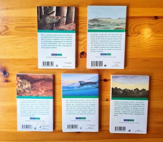 Lote de 9 libros  juveniles  en  francés