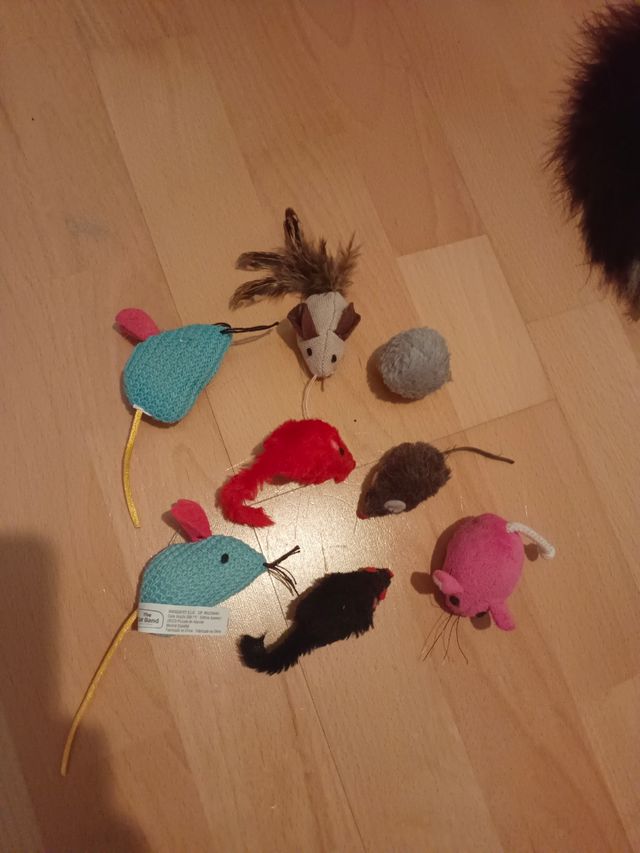 Juguetes de gato