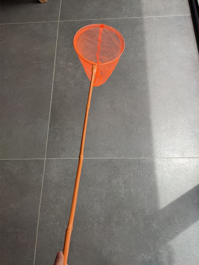 Red pesca o cazamariposas