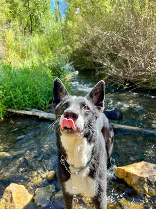 Fotógrafo Económico