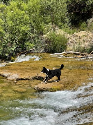 Fotógrafo Económico