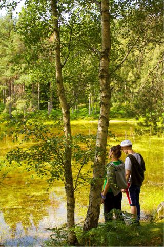 Fotógrafo Económico