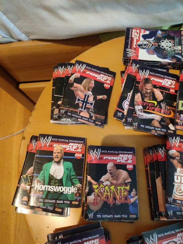 WWE mini pocket files 2007 +70 libritos