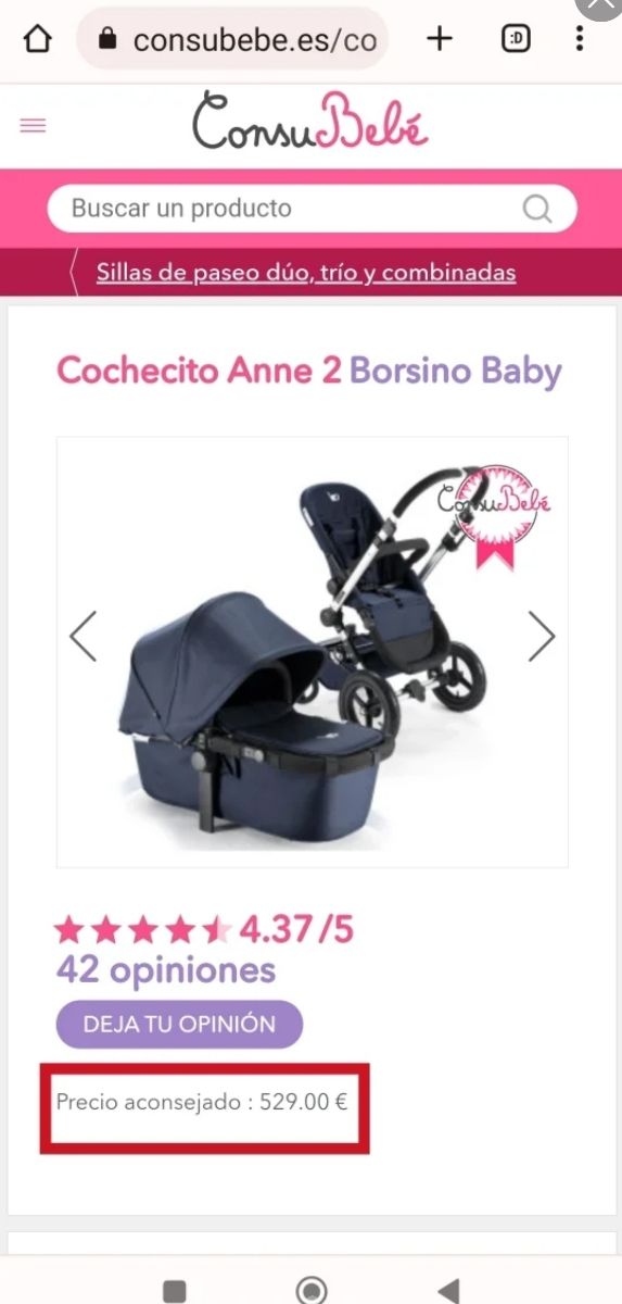 Borsino baby anne 2