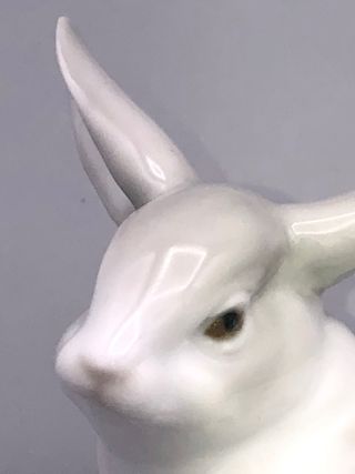REF: 02000280.12 “CONEJO AGAZAPADO” NAO-LLADRÓ