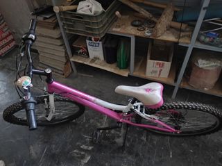 bicicletas medianas niñas