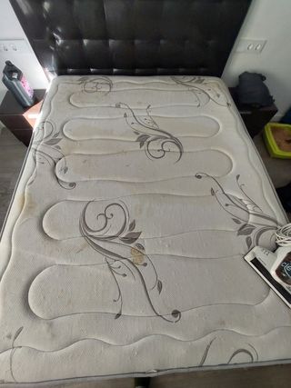 Limpieza sofás, colchones, alfombras