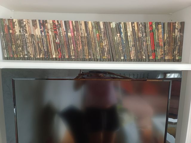 Colección Temas Vizcainos BBK