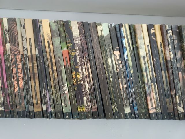 Colección Temas Vizcainos BBK