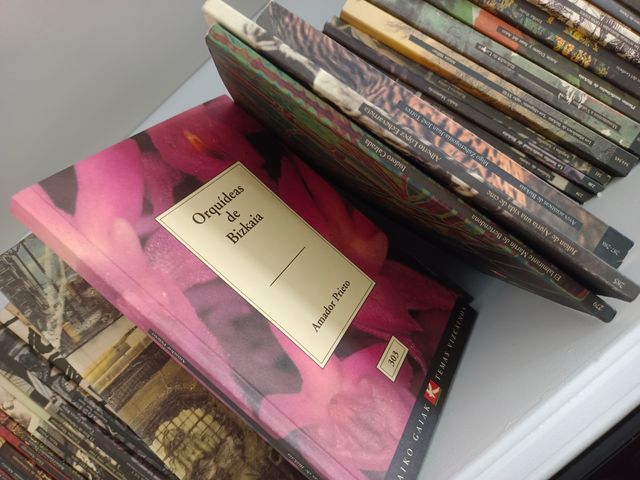 Colección Temas Vizcainos BBK