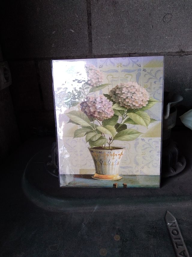 cuadro de baño nuevo