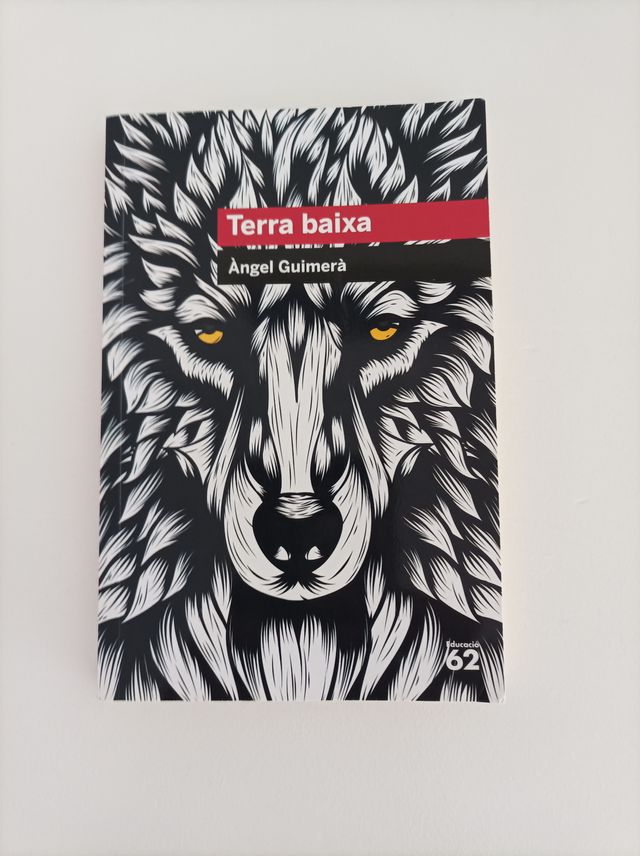 Llibre Terra baixa
